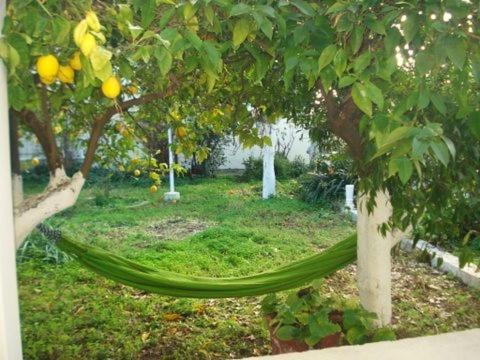 Artistic House In Limni Evias Villa Ngoại thất bức ảnh